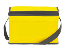Laden Sie das Bild in den Galerie-Viewer, Kühltasche Cool *NEU*